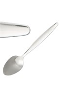 Stainless Steel Teaspoon (12)