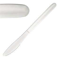 Stainless Steel Table Knife (12)