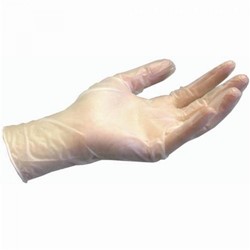Vinyl Gloves Powderfree Large (100)